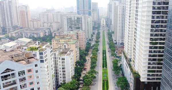 Ngộp thở với "rừng cao ốc"