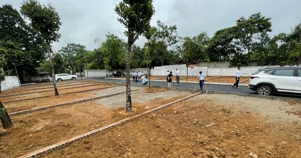 Ranh giới đầu tư và đầu cơ bất động sản mong manh, kiểm soát tín dụng sao cho đúng?