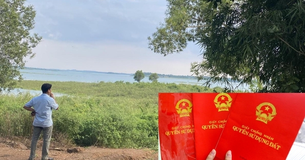 Đầu tư đất vùng ven: Choáng với những bác nông dân sở hữu vài chục cuốn sổ đỏ
