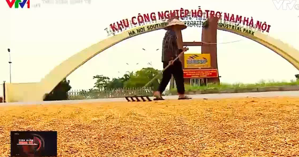 Lãng phí đất vàng, đất chung không ai khóc