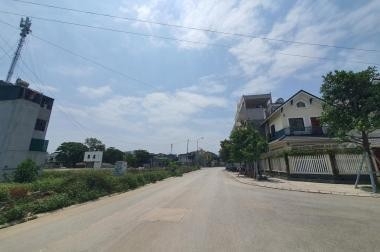  Thanh Hoá: Yêu cầu doanh nghiệp dừng chuyển nhượng QSD đất do vi phạm xây dựng hàng loạt  - Ảnh 1.