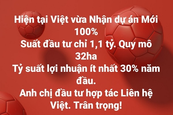 Doanh nghiệp địa ốc và những lời hứa: Mật ngọt giăng sẵn - Ảnh 1.