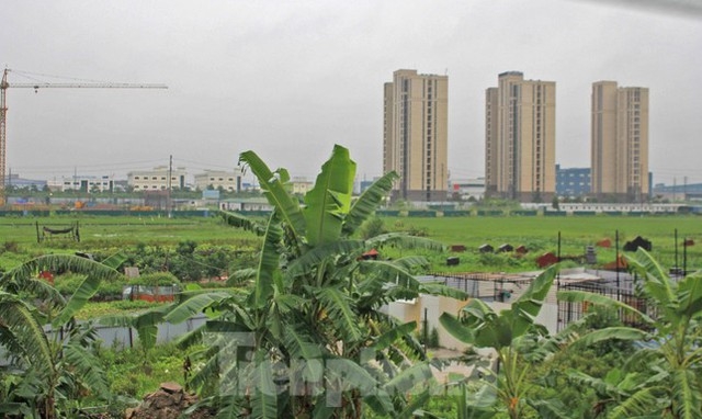  Bắc Giang xử phạt và bêu tên loạt dự án vi phạm đất đai  - Ảnh 2.