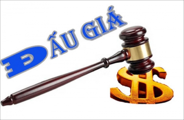 Đề xuất thu hồi, đấu giá lại thương vụ 25.000 m2 đất - Ảnh 1.