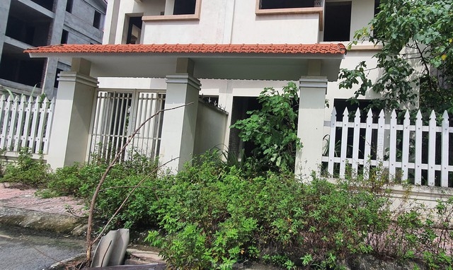 Cảnh nhếch nhác, hoang tàn ở những khu biệt thự triệu đô phía Tây Hà Nội - Ảnh 7.