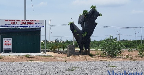 Thị trường bất động sản Quảng Bình - Quảng Trị "xoay chiều"