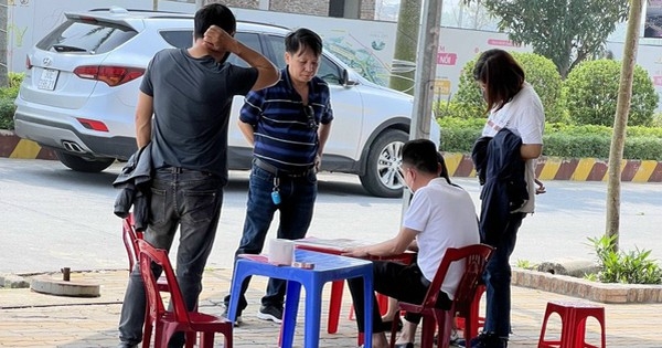 Cơn sốt đất nền đã đi qua vùng đỉnh