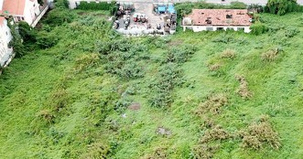 Vì sao Bình Thuận không cho 13 trường hợp chuyển nhượng đất đai?