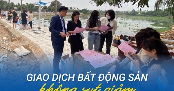 Phân khúc nào có tốc độ tăng giá mạnh nhất trong 6 tháng đầu năm?