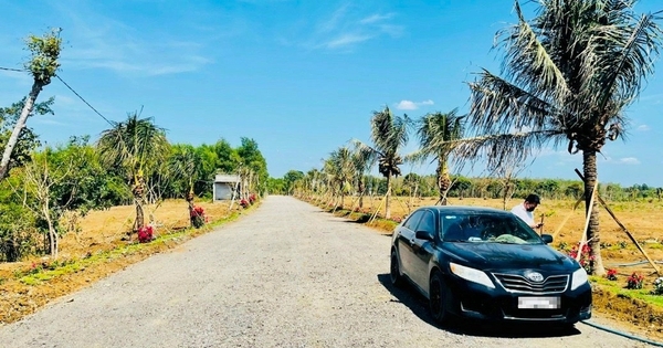 Thị trường bất động sản đang bị “sốc”?