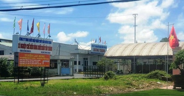 Vụ đề nghị thu hồi khu đất hơn 25.000m2 đã đấu giá: Cục THADS Cà Mau báo cáo gì với tỉnh?