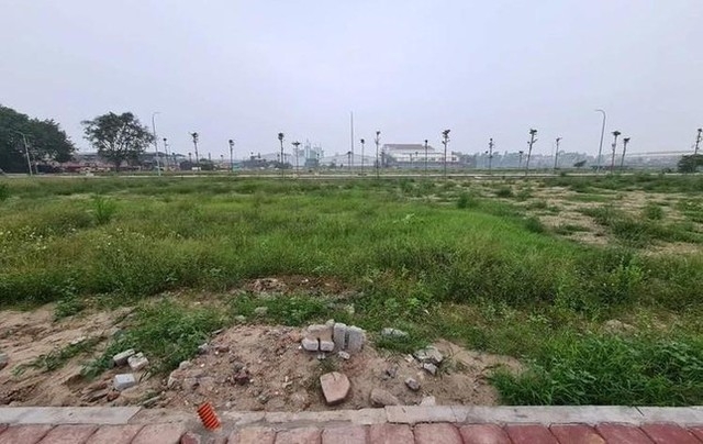  Vùng ven Hà Nội đua nhau đấu giá giữa lúc thị trường trầm lắng  - Ảnh 1.