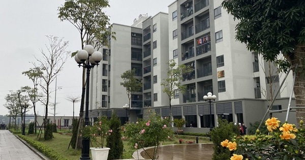Hà Nội: Đông Anh sẽ có 184 ha đất làm nhà ở xã hội tập trung