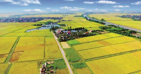 Quảng Nam "khai tử" 2 dự án hơn 5.400 tỷ đồng