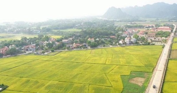 Người không sản xuất nông nghiệp được nhận chuyển nhượng đất lúa?