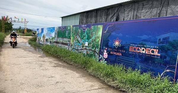 Quảng Nam: Đất chưa hoàn tất đấu giá được rao bán rầm rộ