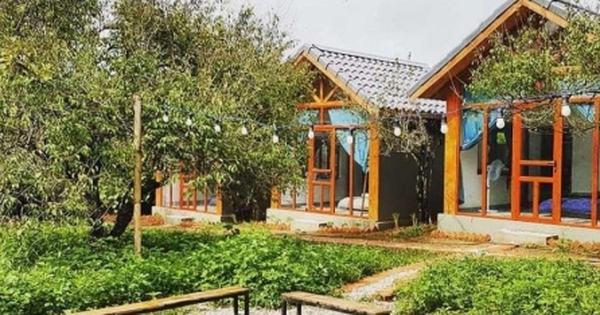 Hậu sốt đất, nhà đầu tư chuyển hướng đổ tiền vào homestay