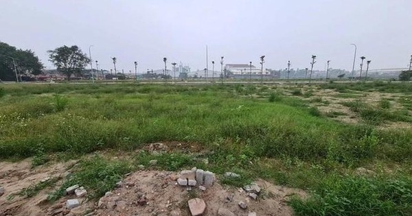 Vùng ven Hà Nội đua nhau đấu giá giữa lúc thị trường trầm lắng
