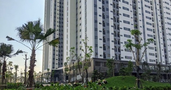 Hải Phòng dành 433 ha đất phát triển nhà ở xã hội