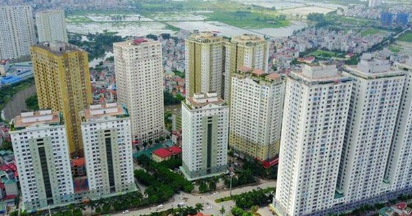Giá chung cư tăng vọt sau "sốt đất", người có nhu cầu chuyển hướng đi thuê