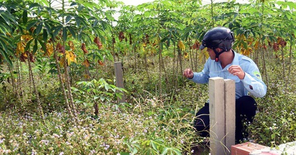 Muốn tách thửa đất nông nghiệp ở nông thôn Đồng Nai phải ít nhất 2.000m2