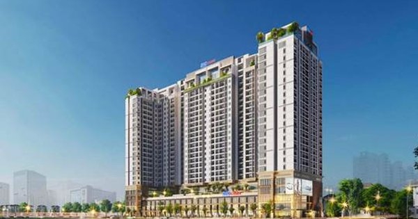 Ra mắt dự án căn hộ cao cấp kiểu mẫu tại TP Vũng Tàu
