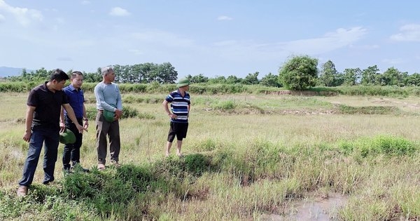 Đề xuất cho chuyển 21 dự án có đất lúa tại Tp.HCM sang làm nhà ở