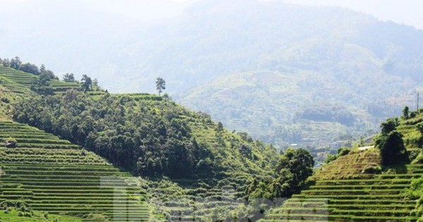 Các địa phương liên tục đấu giá đất với mức khởi điểm từ vài triệu đồng/m2