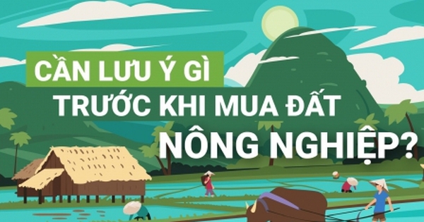 [Infographic] Cần lưu ý gì trước khi mua đất nông nghiệp
