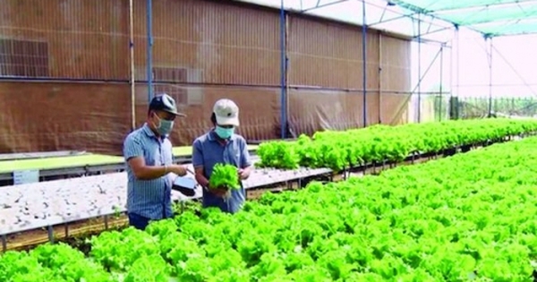 Ngân hàng đất nông nghiệp chờ khung pháp lý