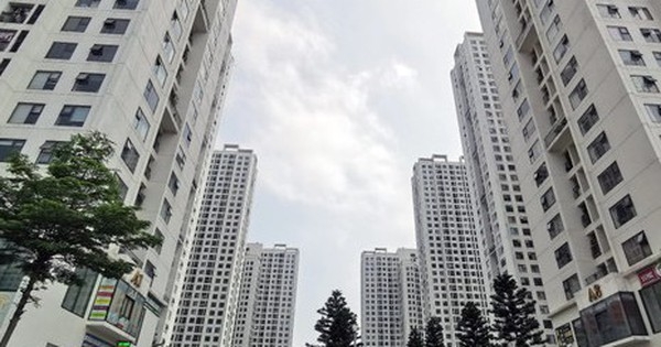 Giáo sư Đặng Hùng Võ: Người mua nhà nên chờ đợi giá bất động sản hạ để vào tiền