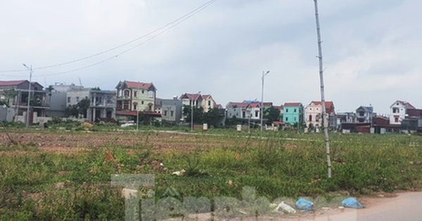 Chuyên gia đưa lời khuyên bất ngờ với nhà đầu tư muốn "bắt đáy" nhà, đất