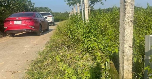 Nhà đầu tư BĐS nhỏ lẻ “đuối sức”, xuất hiện tình trạng cố rao bán sản phẩm càng nhanh càng tốt