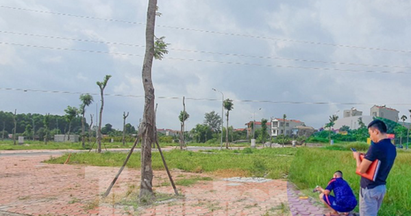 Loạt điểm nóng về "sốt đất" bước vào kỳ giảm giá
