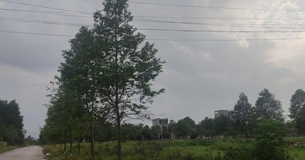Đề nghị xử lý loạt đơn vị trúng đấu giá chậm trả "sổ đỏ" cho dân