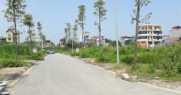 Khu đất xây liền kề, biệt thự gần 10.000m2 ở Hoài Đức (Hà Nội) đem đấu giá với giá khởi điểm hơn 60 triệu đồng/m2