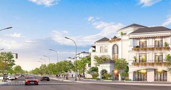 VMI mở rộng quỹ căn và gia tăng số lượng suất đầu tư