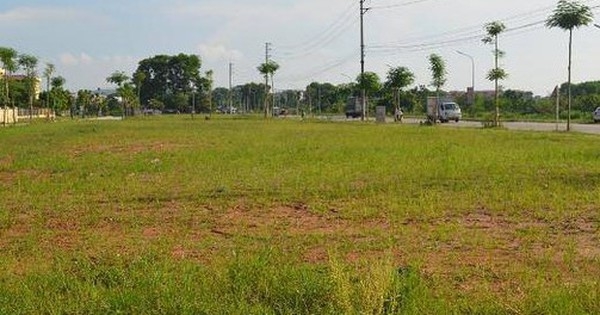 Đất đấu giá dần hạ nhiệt, nhưng giá trúng vẫn cao?