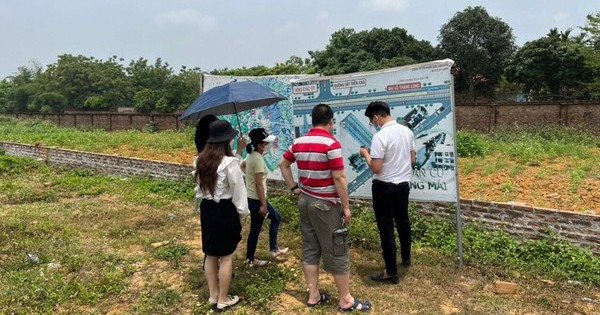 Bộ Tài nguyên và Môi trường: Phân lô, bán nền tràn lan do địa phương buông lỏng quản lý