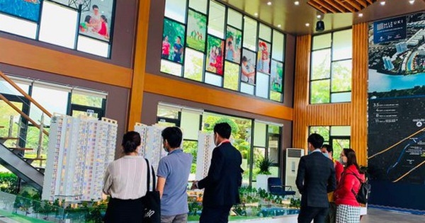 Nhiều dự án bất động sản vẫn bung hàng “kéo mẻ lưới” cuối năm