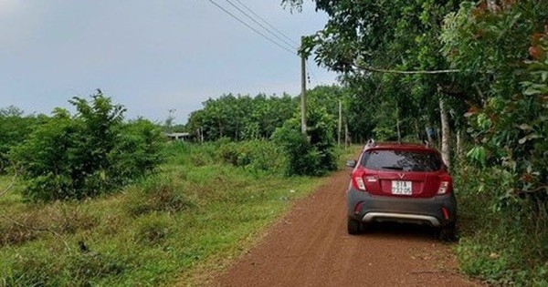 Lỡ lướt sóng thành “ôm bom”, nhà đầu tư non vốn nên cắt lỗ hay cố giữ tài sản chờ thị trường?