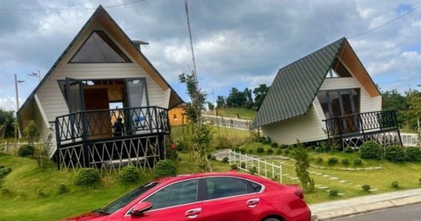 Nguyên tắc đầu tư kinh điển “không bỏ hết trứng vào một giỏ” đang phát huy tác dụng mạnh nhất thời điểm này