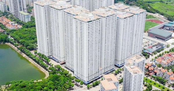 HoREA kỳ vọng Tổ công tác của Chính phủ khẩn trương làm việc với UBND Hà Nội, TP.HCM và sớm gặp trực tiếp doanh nghiệp bất động sản