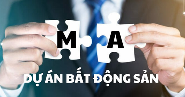 Giá trị M&A bất động sản Việt cao nhất trong vòng 5 năm: Loạt doanh nghiệp lớn Masterise Homes, Keppel Land, CapitaLand Development, Gamuda.…M&A những dự án nào?