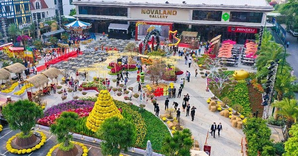 Lộ diện những đơn vị tham gia tư vấn và một số nội dung của đề án tái cấu trúc Novaland