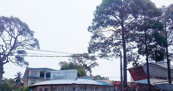 Bà Rịa - Vũng Tàu xin ý kiến Thủ tướng đấu giá khu "đất vàng" nghìn tỷ