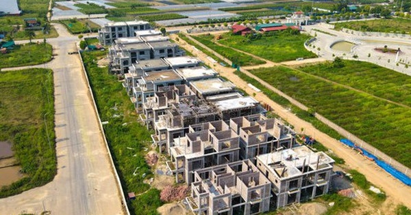 Nhà đầu tư nên cắt lỗ thu hồi vốn sớm hay chờ đợi tín hiệu sáng từ thị trường?