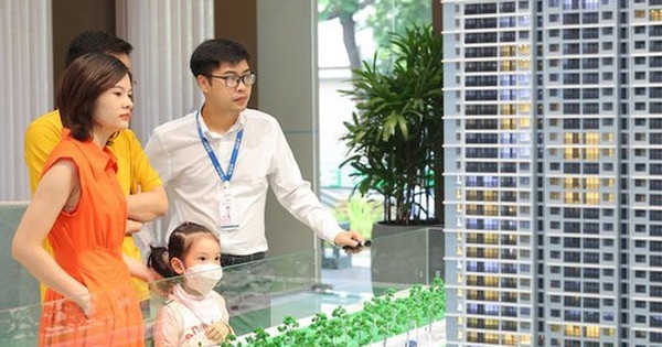 CEO bất động sản: Sẽ không có cơ hội chờ thị trường “sập” hay chạm “đáy” để mua chung cư giá rẻ