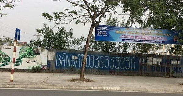 Hải Phòng sắp đấu giá khu "đất vàng" bị bỏ hoang 14 năm với giá khởi điểm gần 630 tỷ đồng