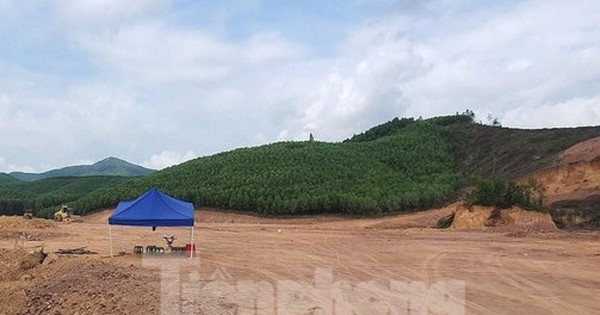 Khách hàng mất 4 tỷ đồng vì "ôm" hàng chục lô đất đấu giá